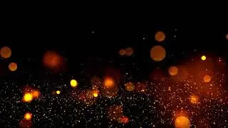 4K Bokeh Particle High Quality Stock footage Animation | Stock Footage