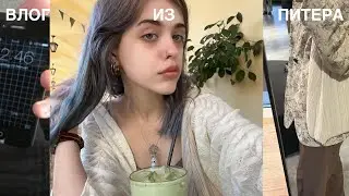 видеодневник.