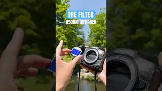 HERE is what a 590nm Infrared Filter looks like 