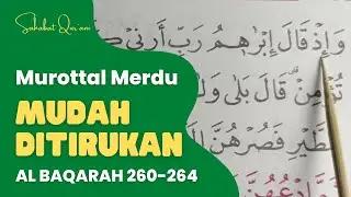 MUDAH DITIRUKAN❗BELAJAR MENGAJI SURAH AL-BAQARAH AYAT 260-264 :: METODE UMMI JUZ 3