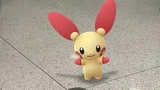 Plusle Research Completed
