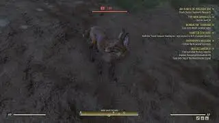 Pov: You‘re new to Fallout 76