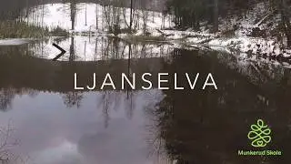 Ljanselva