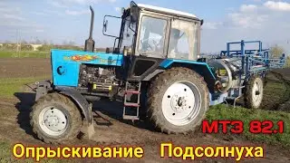 Опрыскивание подсолнуха Трактор МТЗ 82.1/-2019