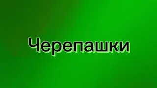 ДИНОЗАВРЫ, ДОЖИВШИЕ ДО НАШИХ ВРЕМЁН
