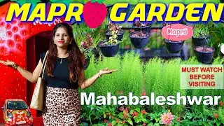 Mahabaleshwar | Mapro Garden/Hidden Gems No ONE Will TELL | Best Places to Visit|Panchgani
