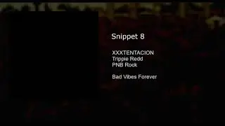 Snippet 8