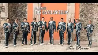 MARIACHI LOS GAVILANCILLOS (LA BELLA ITALIA)