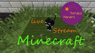 Играю в Minecraft 1.20.1 с модами