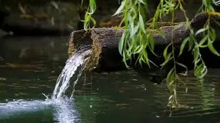 Relaxing Water Sounds For Sleep, Peaceful Music For Sleeping, Music For Stress Relief and Meditation