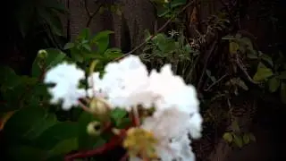 Test My New Cam -  J.O. PRODUÇÕES 2012