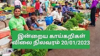 Today vegetable price 20/01/2023