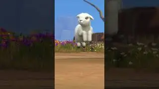 Horse Ranch || The sims 4 || Caprette e pecorelle