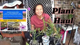 Queensland International Plant Fair 2025 Plant haul