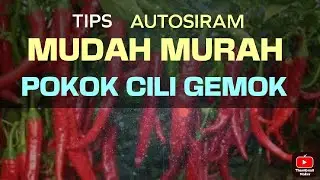 Setting Timer Batteri 12v |Baja Automatik | #diy #tanampokok #belakangrumah #senang #baja