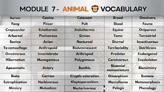 ANIMAL VOCABULARY FOR IELTS