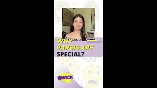 WHY PARSIS ARE SPECIAL?