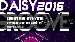 Daisy Groove 2016 - EDM Sample Pack | Groove House Samples, Loops, MIDI, Presets and more