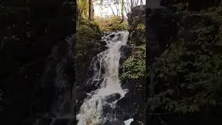 Relax Watch This