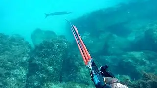 Chasse sous marine côte d'azur septembre 2018