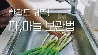 👩‍🍳대파 보관법/마늘 보관법/한달도 끄떡 없어요