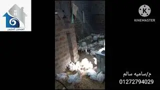 نتايج متبعاتنا لسه مكمله مع البرنامج الاورجانيك 🥱🤩🤩🤩