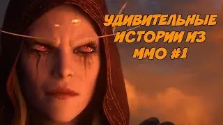УДИВИТЕЛЬНЫЕ ИСТОРИИ ИЗ ММО, СОТВОРЕННЫЕ ИГРОКАМИ(перезалив со второго канала). #1