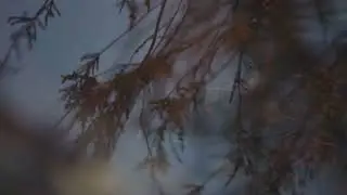 Ладога. Laatoka