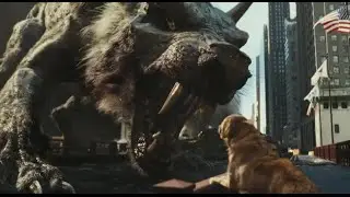 Terrible wolves attacked the city