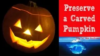 🎃 Carve Halloween Pumpkins then Preserve it with Bleach  🎃
