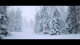 UE4 SpeedTree - Snow