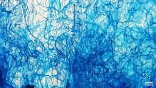 Filamentous blue ink