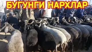 АРАБИ КУЧКОРЛАРНИ ЗУРЛАРИ ЧИКДИ КАРШИ КАРВОН МОЛ БОЗОРИДА