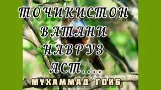 Шеъри  :  МУХАММАД ГОИБ.... 