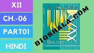 Chapter 6: Molecular basis of inheritance (NCERT level/ HINDI) Part1