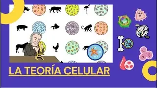 La Teoría Celular