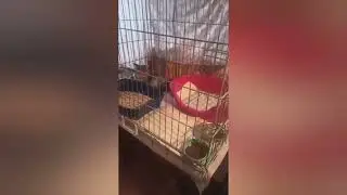 Очень тяжело, когда тебя не слышат..Спасибо всем, кто относится с уважением и пониманием к просьбам!