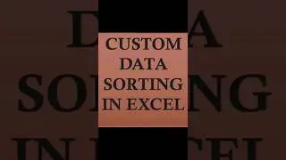 CUSTOM DATA SORTING IN EXCEL 