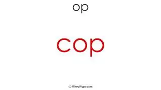 Practice Reading CVC Words 23
