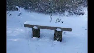 Snow for Shirlyn