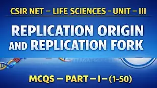 REPLICATION ORIGIN AND REPLICATION FORK