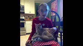 Cat therapy & Special needs bowling!