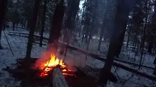 ОХОТА на ЗАЙЦА с РУССКОЙ ГОНЧЕЙ 25 11 23.Чуть не сбил.