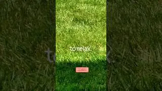 I KEPT SEEING GREEN...How to Relax