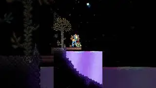 Throwing Stuff In The Shimmer - Armor Polish - Terraria 