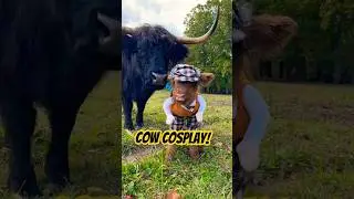 Baby Cow Dressing up for Halloween! #cow #animal #highlandcow #funny #cute