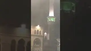 انتشار ملايين من الصراصير السامه بمكه المكرمه والمدينه المنوره