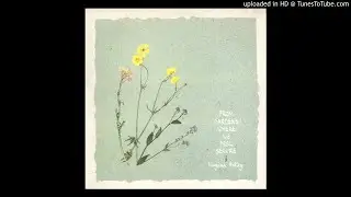 Virginia Astley - From Gardens Where We Feel Secure