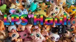 - LPS - Haul 20+ Diertjes! (ENGLISH SUBTITLES!)