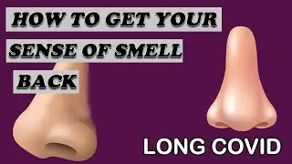 LOSS OF SMELL and Covid 19 | HOW TO GET YOUR SMELL BACK | Long Covid Syndrome